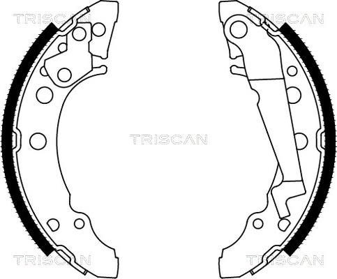 Triscan 8100 29001 - Komplet kočnica, bubanj kočnice www.molydon.hr