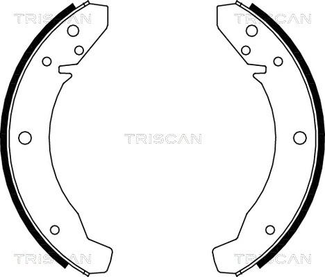 Triscan 8100 29104 - Komplet kočnica, bubanj kočnice www.molydon.hr