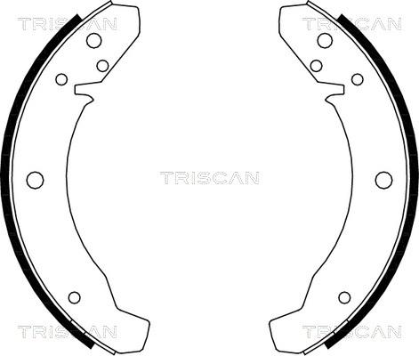 Triscan 8100 29105 - Komplet kočnica, bubanj kočnice www.molydon.hr