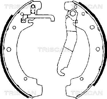 Triscan 8100 29368 - Komplet kočnica, bubanj kočnice www.molydon.hr