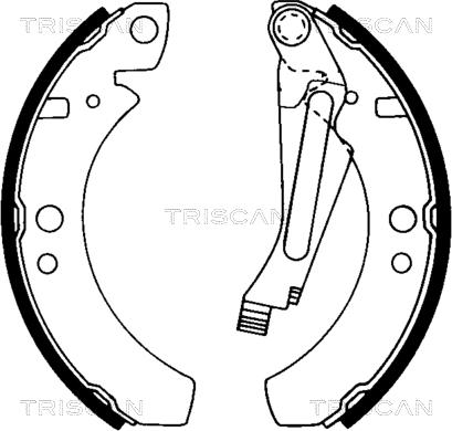 Triscan 8100 29266 - Komplet kočnica, bubanj kočnice www.molydon.hr