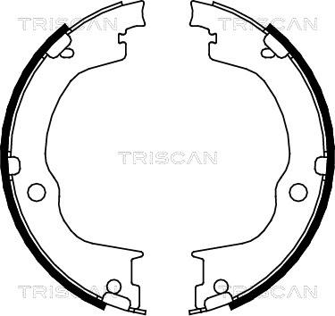 Triscan 8100 24003 - Komplet kočionih obloga, rucna kočnica www.molydon.hr