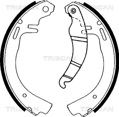 Triscan 8100 24223 - Komplet kočnica, bubanj kočnice www.molydon.hr