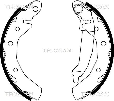 Triscan 8100 21610 - Komplet kočnica, bubanj kočnice www.molydon.hr