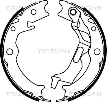 Triscan 8100 21001 - Komplet kočnica, bubanj kočnice www.molydon.hr