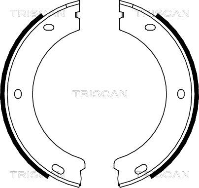Triscan 8100 28522 - Komplet kočionih obloga, rucna kočnica www.molydon.hr