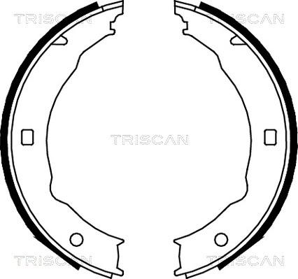 Triscan 8100 28050 - Komplet kočionih obloga, rucna kočnica www.molydon.hr