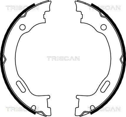 Triscan 8100 23028 - Komplet kočionih obloga, rucna kočnica www.molydon.hr