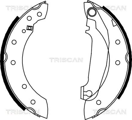 Triscan 8100 27516 - Komplet kočnica, bubanj kočnice www.molydon.hr