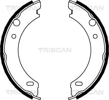 Triscan 8100 27538 - Komplet kočionih obloga, rucna kočnica www.molydon.hr