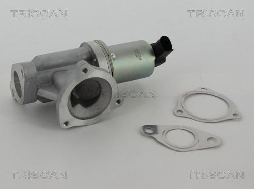 Triscan 8813 43002 - EGR ventil www.molydon.hr