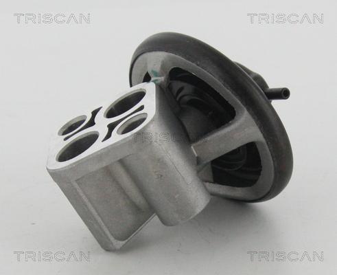 Triscan 8813 43007 - EGR ventil www.molydon.hr