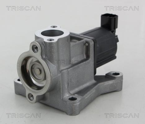 Triscan 8813 50015 - EGR ventil www.molydon.hr