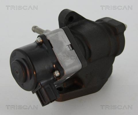 Triscan 8813 14005 - EGR ventil www.molydon.hr