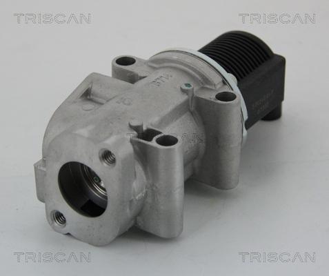 Triscan 8813 15032 - EGR ventil www.molydon.hr