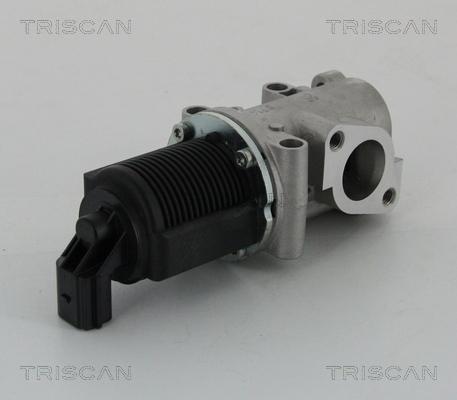 Triscan 8813 15032 - EGR ventil www.molydon.hr