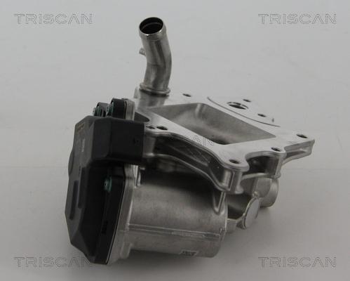 Triscan 8813 15205 - EGR ventil www.molydon.hr