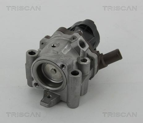 Triscan 8813 15208 - EGR ventil www.molydon.hr