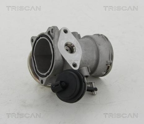 Triscan 8813 16023 - EGR ventil www.molydon.hr