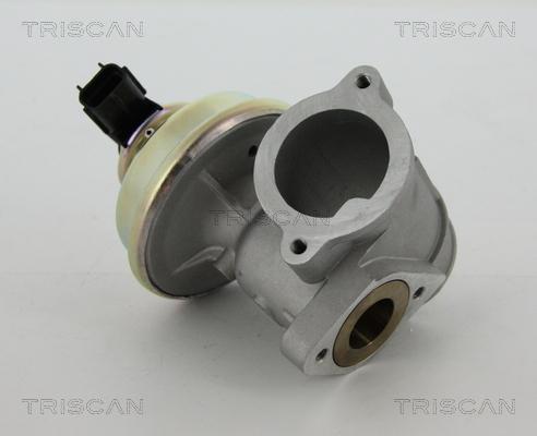 Triscan 8813 16102 - EGR ventil www.molydon.hr