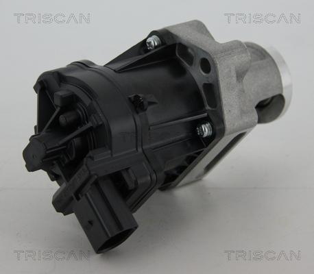 Triscan 8813 10006 - EGR ventil www.molydon.hr