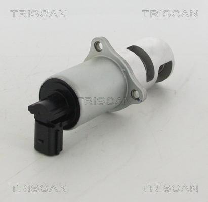 Triscan 8813 10100 - EGR ventil www.molydon.hr