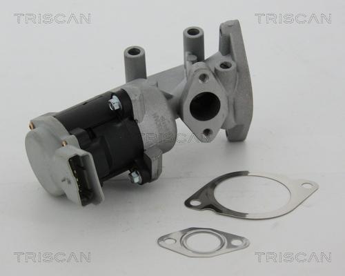 Triscan 8813 17020 - EGR ventil www.molydon.hr