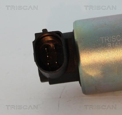 Triscan 8813 29044 - EGR ventil www.molydon.hr