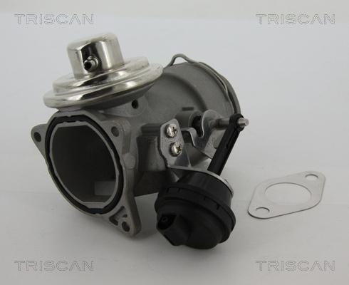 Triscan 8813 29040 - EGR ventil www.molydon.hr