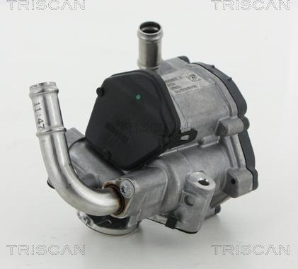 Triscan 8813 29069 - EGR ventil www.molydon.hr