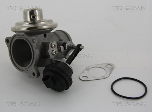 Triscan 8813 29001 - EGR ventil www.molydon.hr