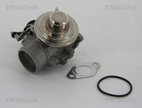 Triscan 8813 29001 - EGR ventil www.molydon.hr