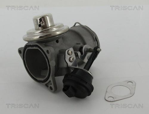 Triscan 8813 29036 - EGR ventil www.molydon.hr