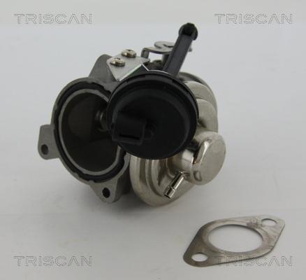 Triscan 8813 29022 - EGR ventil www.molydon.hr