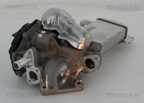 Triscan 8813 29304 - EGR ventil www.molydon.hr