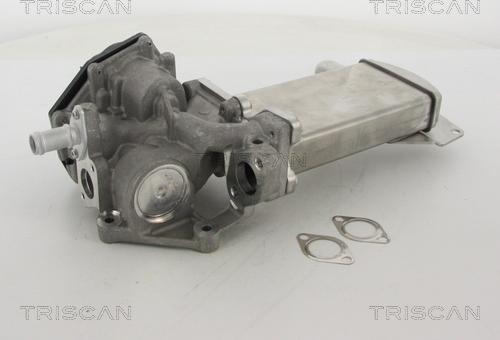 Triscan 8813 29305 - EGR ventil www.molydon.hr