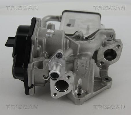 Triscan 8813 29305 - EGR ventil www.molydon.hr