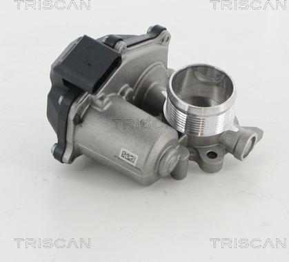 Triscan 8813 29316 - EGR ventil www.molydon.hr