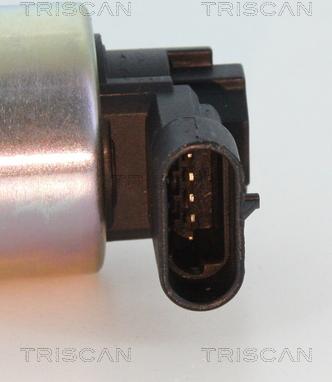 Triscan 8813 24010 - EGR ventil www.molydon.hr