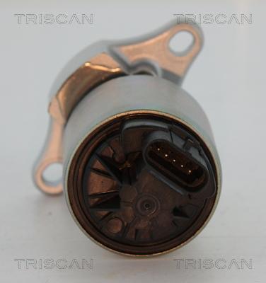 Triscan 8813 24081 - EGR ventil www.molydon.hr