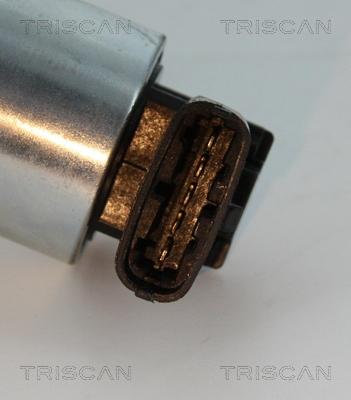 Triscan 8813 24102 - EGR ventil www.molydon.hr