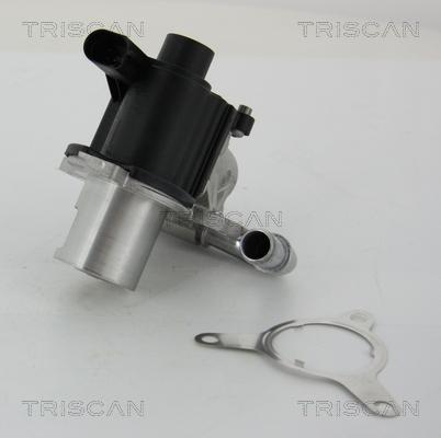 Triscan 8813 25039 - EGR ventil www.molydon.hr