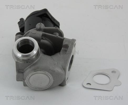 Triscan 8813 28003 - EGR ventil www.molydon.hr