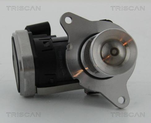 Triscan 8813 23006 - EGR ventil www.molydon.hr