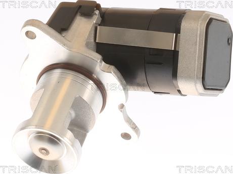 Triscan 8813 23036 - EGR ventil www.molydon.hr