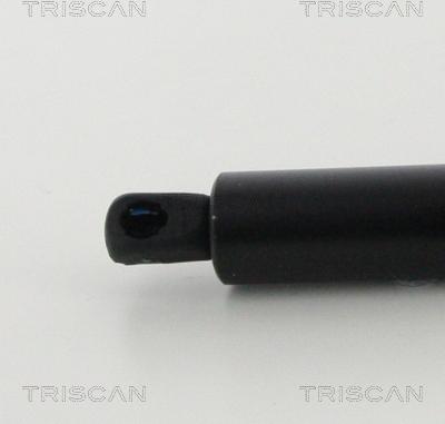 Triscan 8710 16276 - Plinski amortizer, prtljaznik/utovarni prostor www.molydon.hr