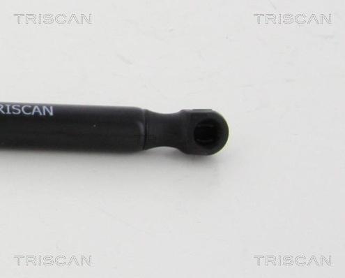Triscan 8710 292028 - Plinski amortizer, prtljaznik/utovarni prostor www.molydon.hr