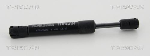 Triscan 8710 23248 - Plinski amortizer, prtljaznik/utovarni prostor www.molydon.hr