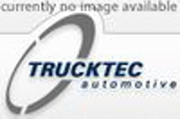 Trucktec Automotive 02.67.266 - Lanac razvoda www.molydon.hr