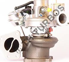 TURBO'S HOET BWT5304-988-0352 - Kompresor, prehranjivac www.molydon.hr